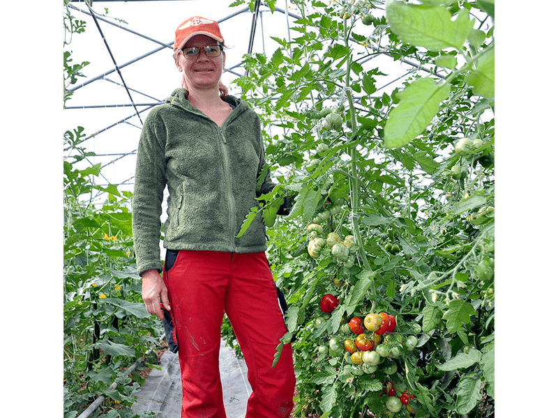 Gemüsebäuerin in Glashaus neben Tomatenpflanzen